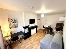 Le Nid - Cosy T2 - Hyper-centre