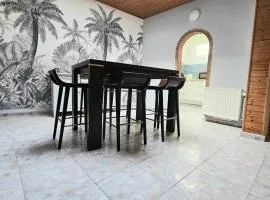 appartement 1ch mons centre