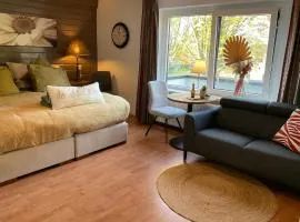Comfortabele Familie Suite met 2 slk, speelzolder, balkon, Airco