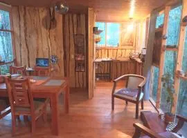 Casa Bosque Villarrica