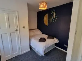 Studio Flat
