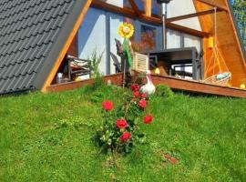 Wood & Bricks Chalet, hotel di Giuleşti