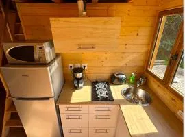 Chalet Nature Disney