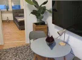 FlexHome Stadtnahe Ferienwohnung