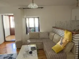 Apartment Dino