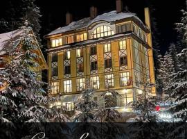 Готель Вілла Драгобрат, hotel v destinaci Drahobrat