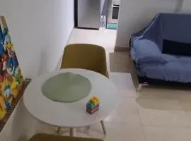 Appartement 1ere étage jardin carthage tunis