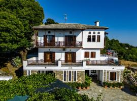 Hotel Vrionis, hotel v destinaci Agios Dimitrios