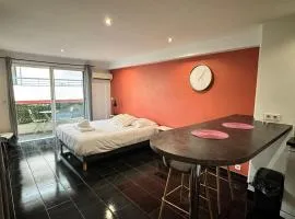 Grand Studio Centre Cannes