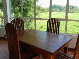 Paddy View Cottage