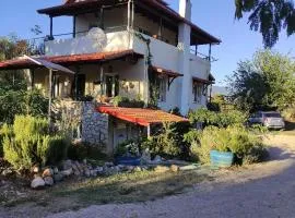 Villa Dorothy360