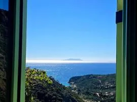 Vista Del Mar Mansion