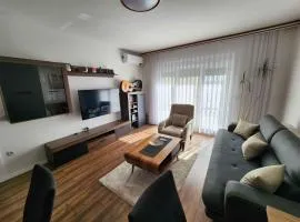 REGEX Apartment