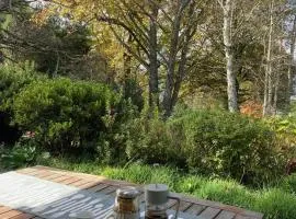 Bramber Cottage Hogsback, Living With Joy!
