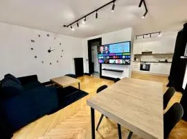 Cosy apartment in Lausanne