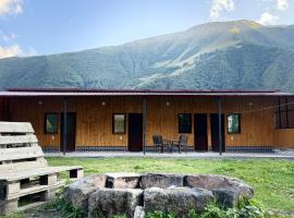 Januka Studio, hotel v destinaci Stepancminda