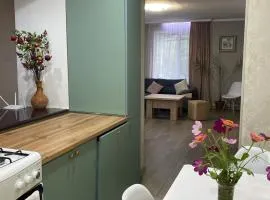 Mush Guest House in Sanahin