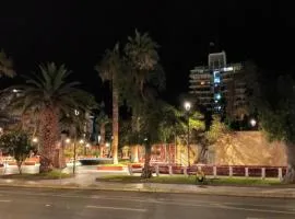 Artemisa Propiedades