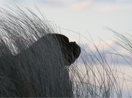 Bungalow RUHE UND STURM direkt am STRAND mit KAMIN nur für ERWACHSENE, bungalow em Nonnevitz