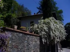 Ai 4 Gatti B&B