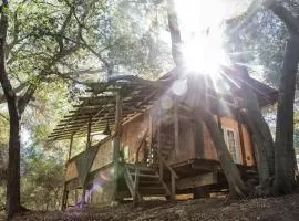 Japanese Tea House with Private Mountain Trails and Creek