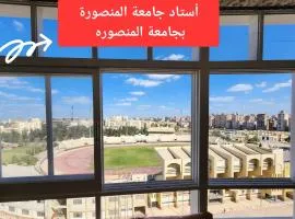 Apartment in front of Mansoura University 5 stars