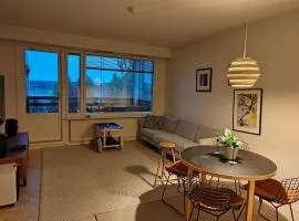 2 bedroom city apartment with lake view