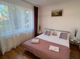 Zen Apartment 1, hotel din Satu Mare