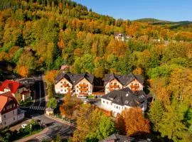 Wonder Home - Apartamenty w sercu Karpacza, blisko deptaka i terenów zielonych