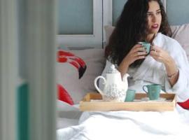 El Patio del Limonero, hotel in Écija