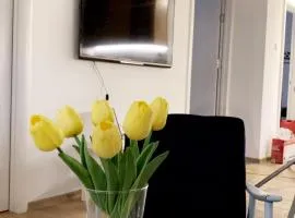 Vanja Apartman