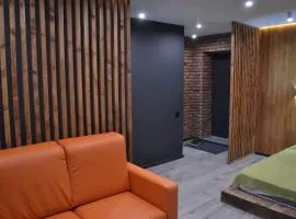 1комн лофт в центре