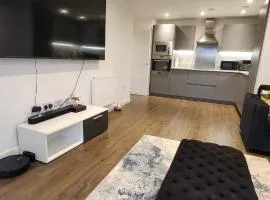 Modern 2 Bedroom Apartment