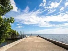 My Garden in Miami Florida