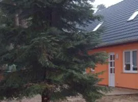 Ferienhaus Jägerswalde