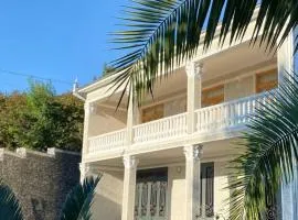 Green villa panorama