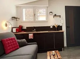 Le mini loft - studio