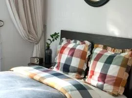 Teika No 2 Apartment-Retro on Brivibas street-free Parking