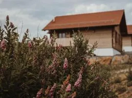 Oberwald Chalets 1