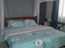 cari haven homes