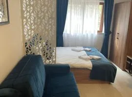Milmari N53