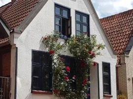 Tiny House auf dem Ostedeich、Neuhaus an der Osteのタイニーハウス