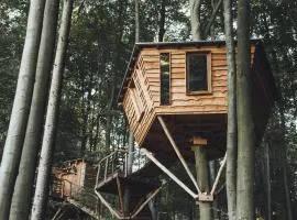 Baumhaushotel Robins Nest