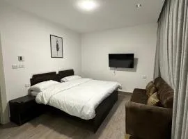 central apartment for rent 16