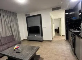 central apartment for rent 17