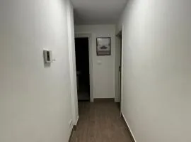 central apartment for rent 22