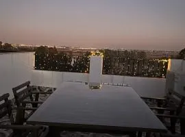 ESTUDIO LAS PALMILLAS