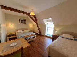 Chambres spacieuses près de Beaugency, petit-déjeuner inclus - FR-1-590-455