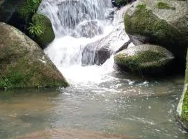 Cabaña Raíces del Bosque