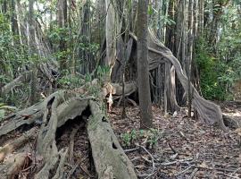 Atacuari Salvaje Tours Amazonas, caba&ntilde;a en San Juan de Atacuari